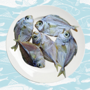 kaarappodi – silver belly fish