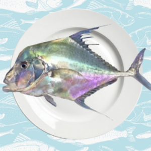 kannadiparai – diamond trevally fish