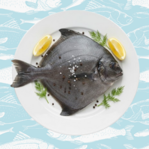 karuppu vaal – black pomfret fish
