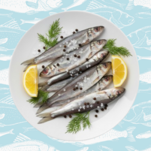 kilich – kilicha fish