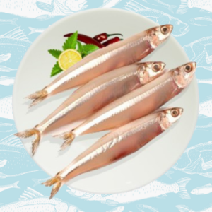 nethili – anchovy fish