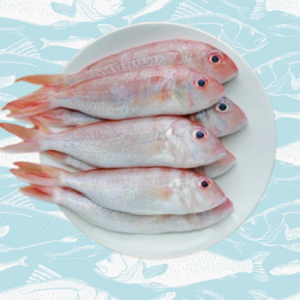 sankara – pink perch fish