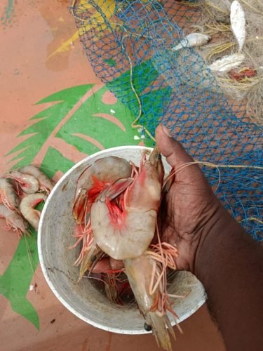 WhatsApp-Image-2025-10-17-at-12.43.19 c84da1f1