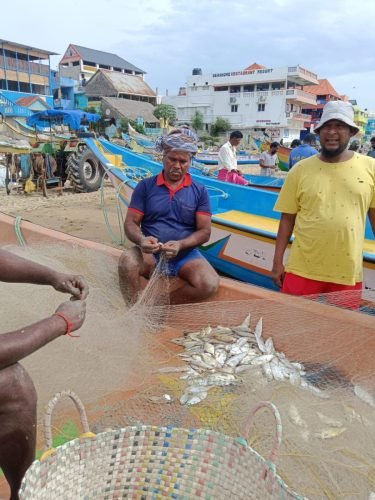 WhatsApp-Image-2025-10-17-at-12.43.21 daa20974