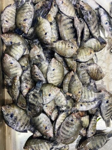 WhatsApp-Image-2025-10-17-at-12.43.22 d8c5dbf3