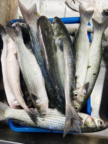 WhatsApp-Image-2025-10-17-at-12.43.23 cd24c8ee