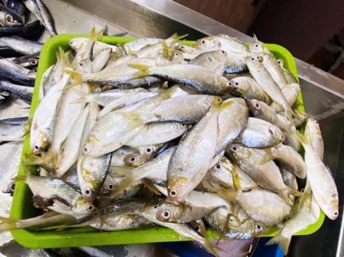 WhatsApp-Image-2025-10-17-at-12.43.24 723c2d38