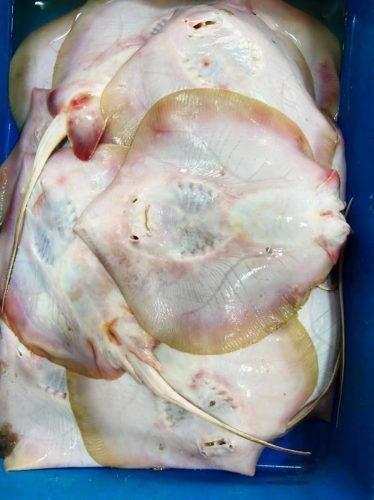 WhatsApp-Image-2025-10-17-at-12.43.24 9e57a853