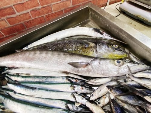 WhatsApp-Image-2025-10-17-at-12.43.24 ae0bb687