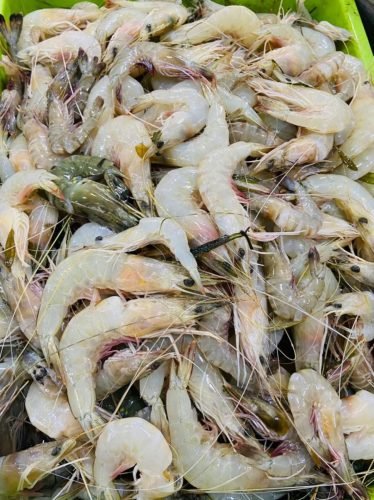 WhatsApp-Image-2025-10-17-at-12.43.26 9e03dbce