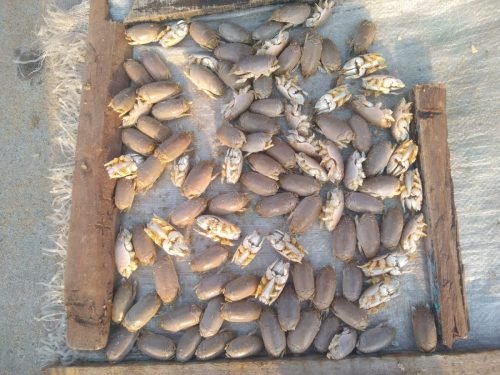 WhatsApp-Image-2025-10-17-at-12.47.22 97f11aed