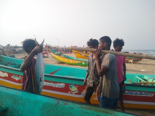 WhatsApp-Image-2025-10-17-at-12.47.23 8d0be3e8