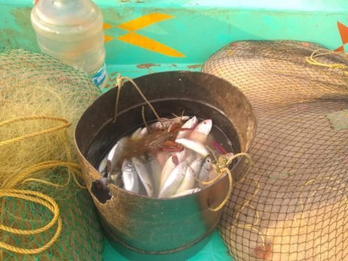 WhatsApp-Image-2025-10-17-at-12.47.32 9dc609cf