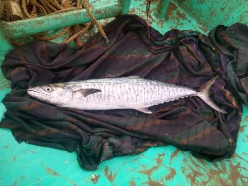 WhatsApp-Image-2025-10-17-at-12.47.33 e2cb1c5b