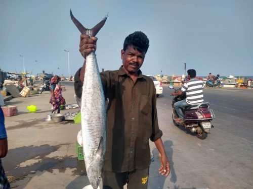 WhatsApp-Image-2025-10-17-at-12.47.34 67408387