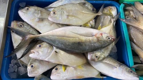 WhatsApp-Image-2025-10-17-at-12.47.35 22c4588d