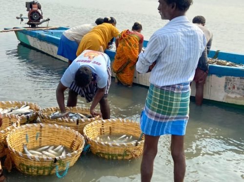 WhatsApp-Image-2025-10-17-at-13.05.06 9b384326