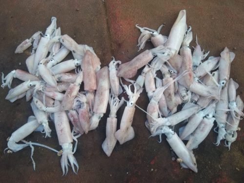 WhatsApp-Image-2025-10-17-at-16.05.21 f9e98f8a