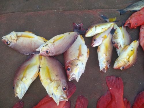 WhatsApp-Image-2025-10-17-at-16.05.22 1178c86b