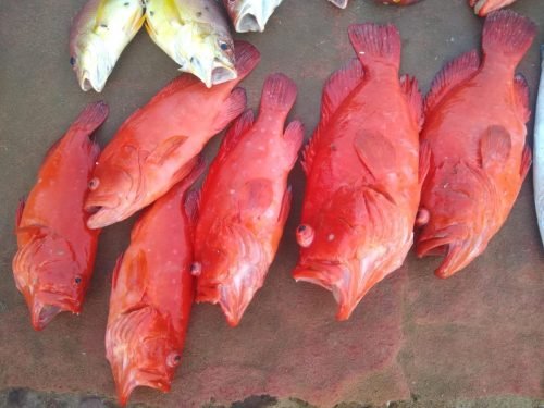 WhatsApp-Image-2025-10-17-at-16.05.22 3cddc4b3