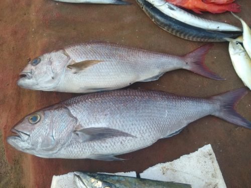 WhatsApp-Image-2025-10-17-at-16.05.22 c085f260